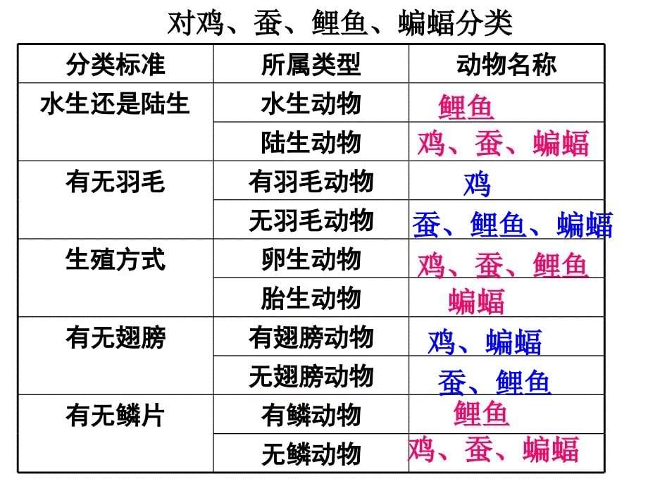 常见的动物脊椎动物_第5页