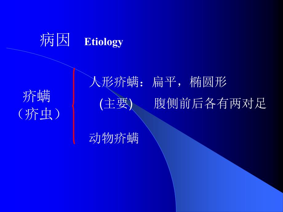 疥疮的护理重点_第4页