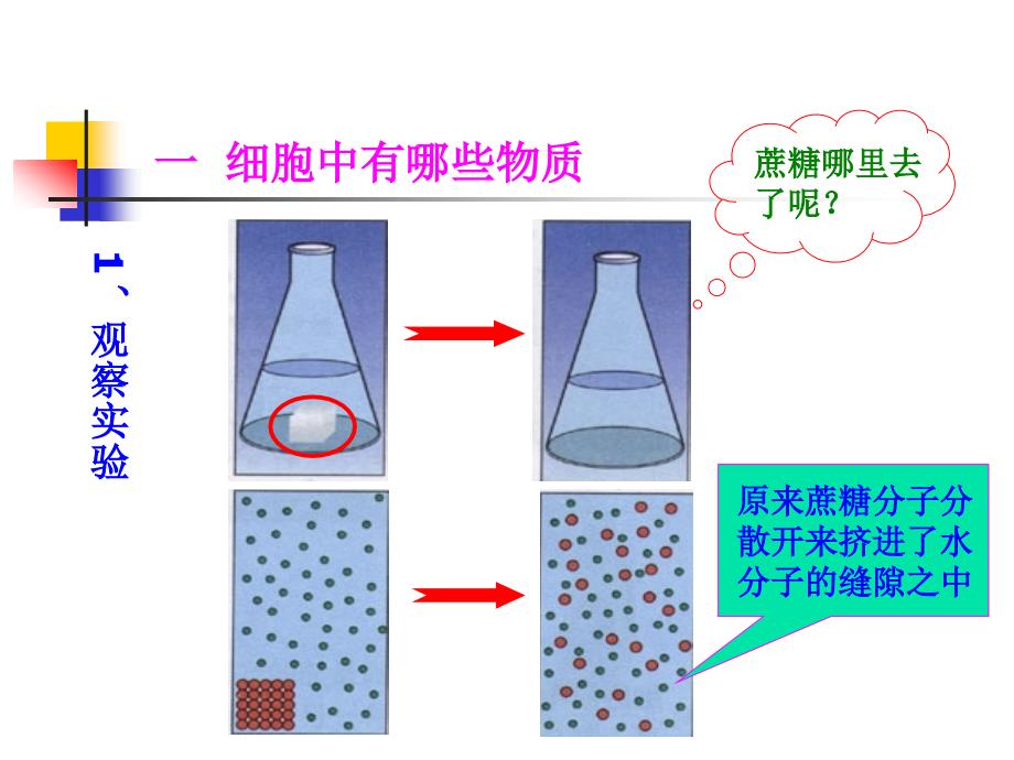 细胞的生活需要物质和能量_第3页