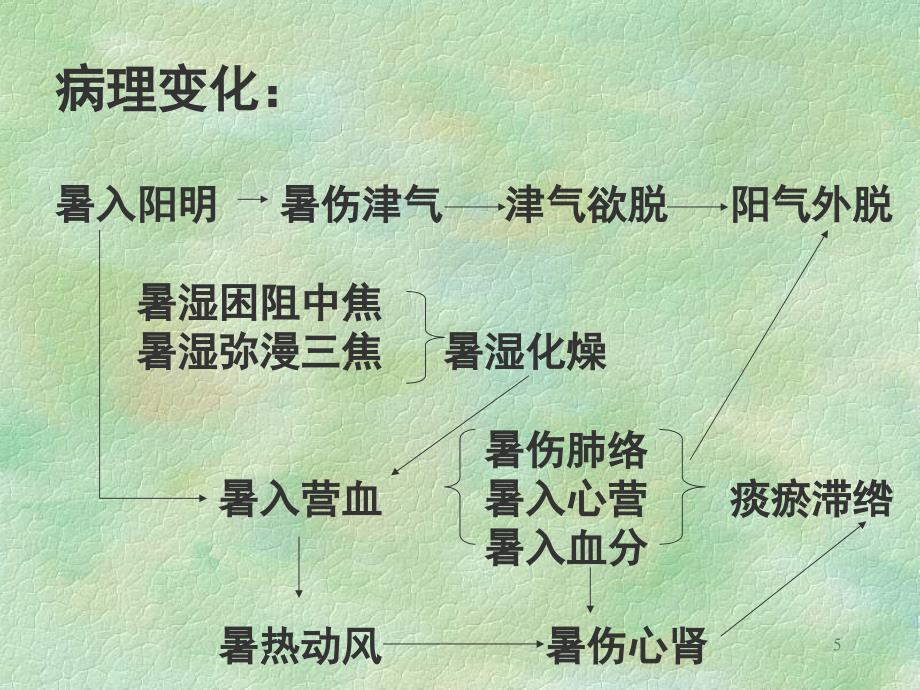 最新：温病学(南京中医药大学暑温文档资料_第5页