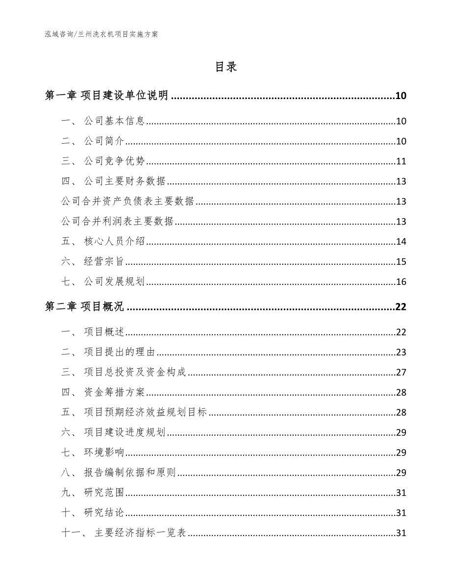 兰州洗衣机项目实施方案（模板范文）_第2页