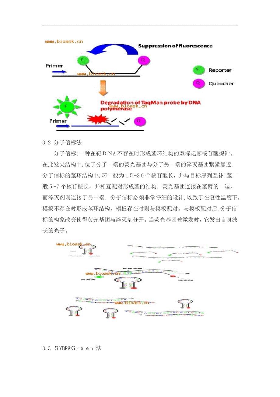 QPCR原理及应用可编辑范本_第5页