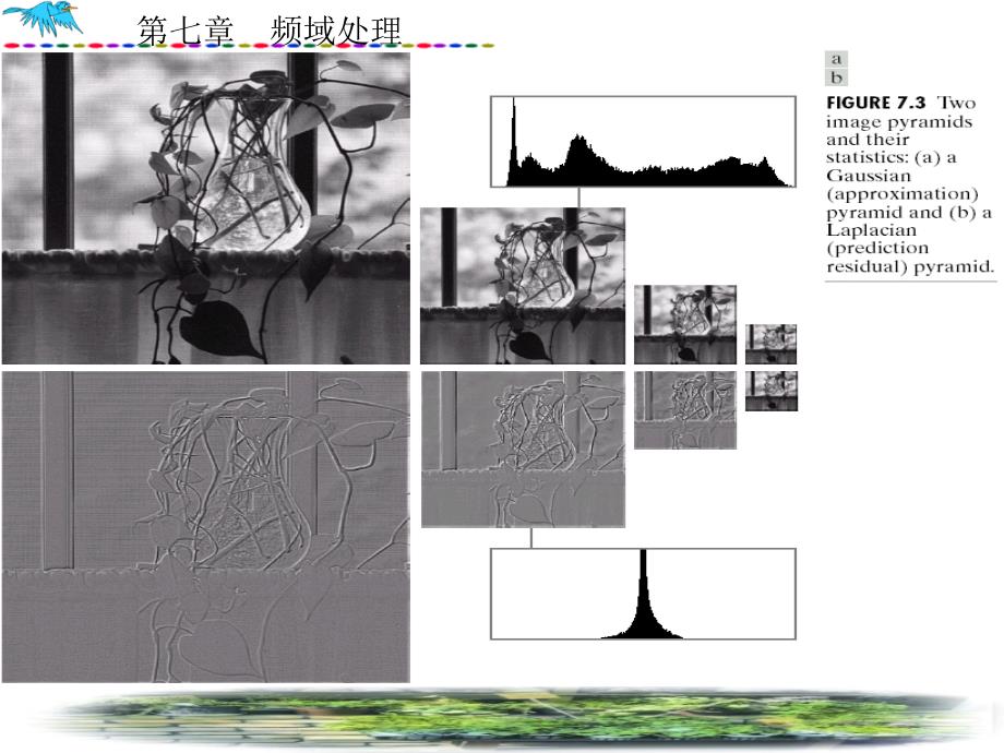 第7章小波变换ppt课件_第2页