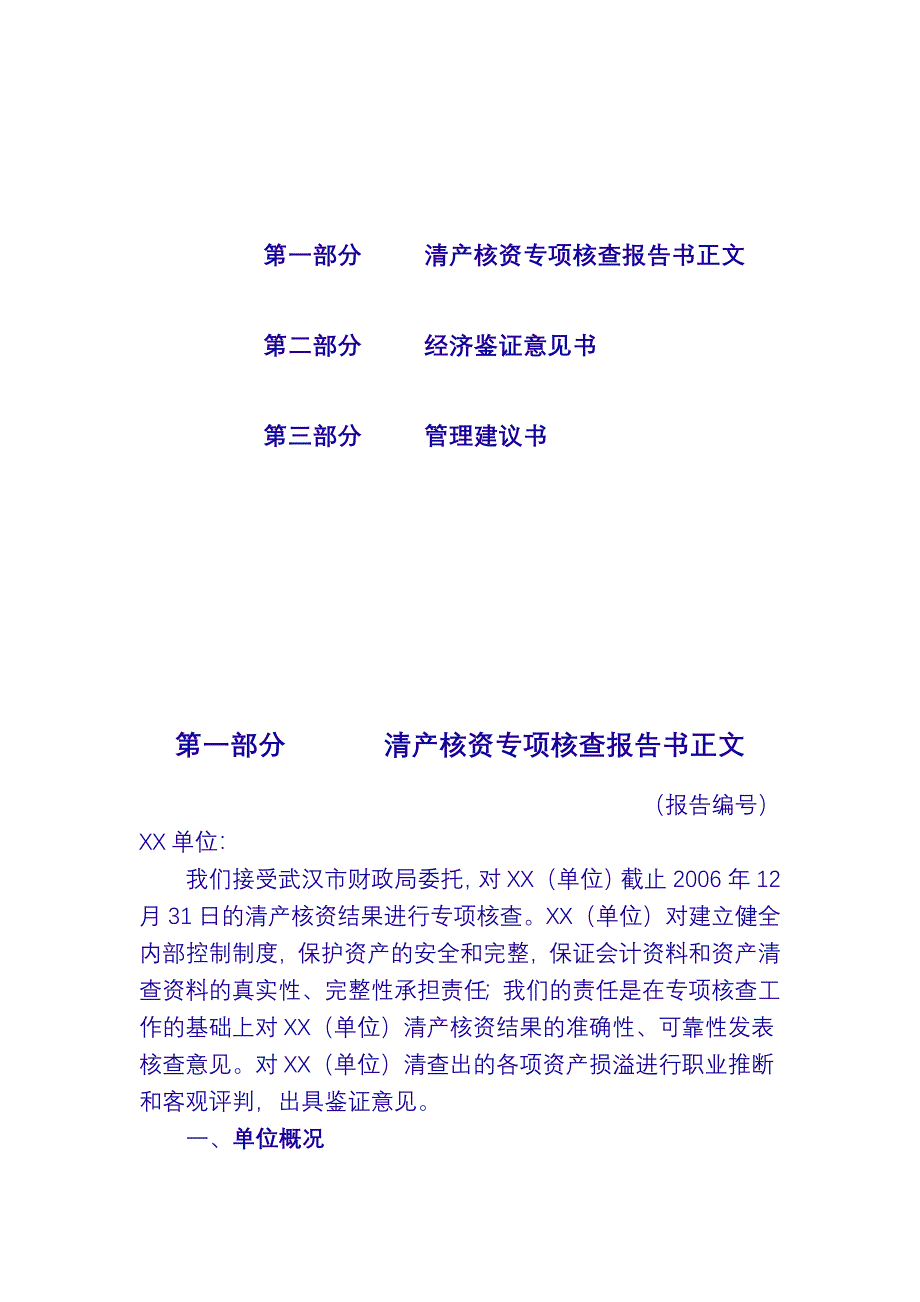 清产核资专项核查报告书_第2页