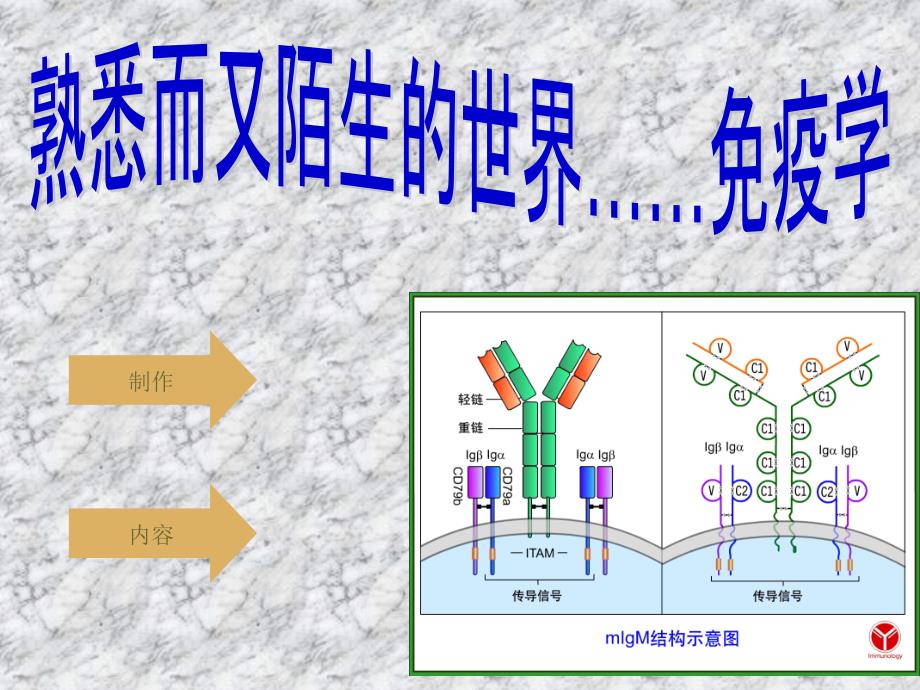 免疫组织化学染色技术20140413_第1页