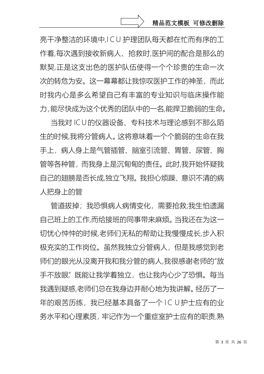 关于护士的个人述职报告集锦十篇_第3页