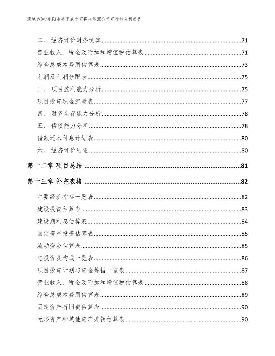 阜阳市关于成立可再生能源公司可行性分析报告_第5页