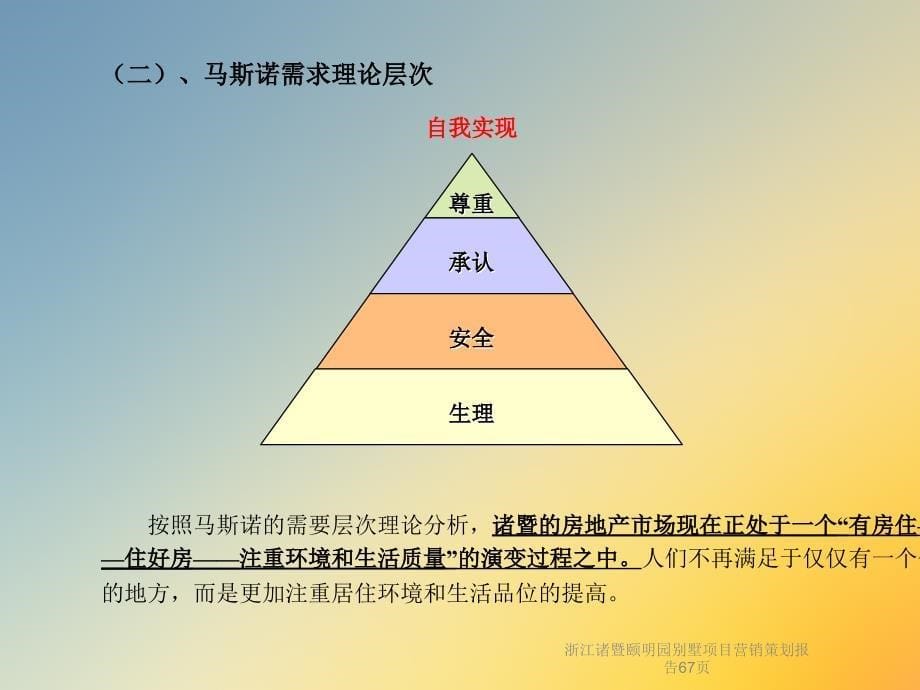 浙江某别墅项目营销策划报告课件_第5页