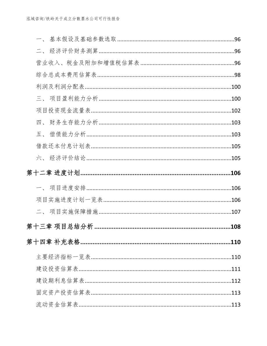 铁岭关于成立分散墨水公司可行性报告_第5页