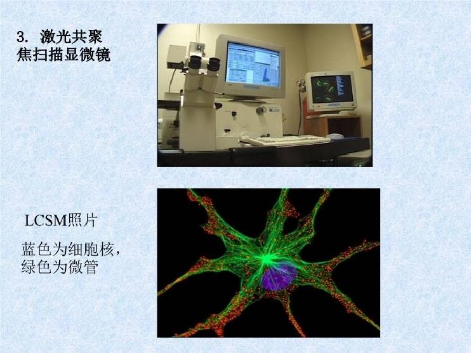 最新实验一细胞形态结构的观察和普通光学显微镜的使用PPT课件_第4页