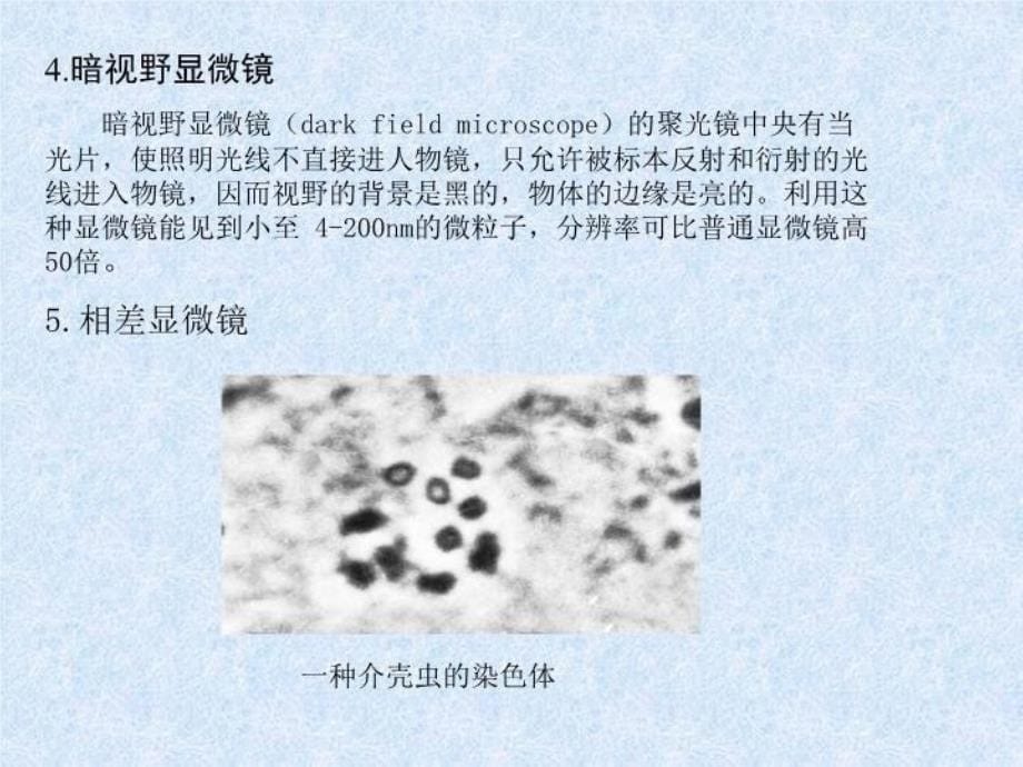 最新实验一细胞形态结构的观察和普通光学显微镜的使用PPT课件_第5页