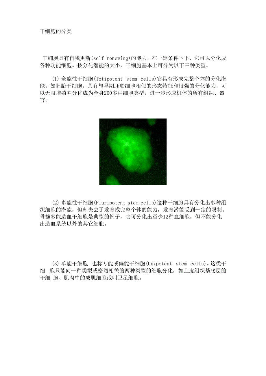 干细胞的分类_第1页