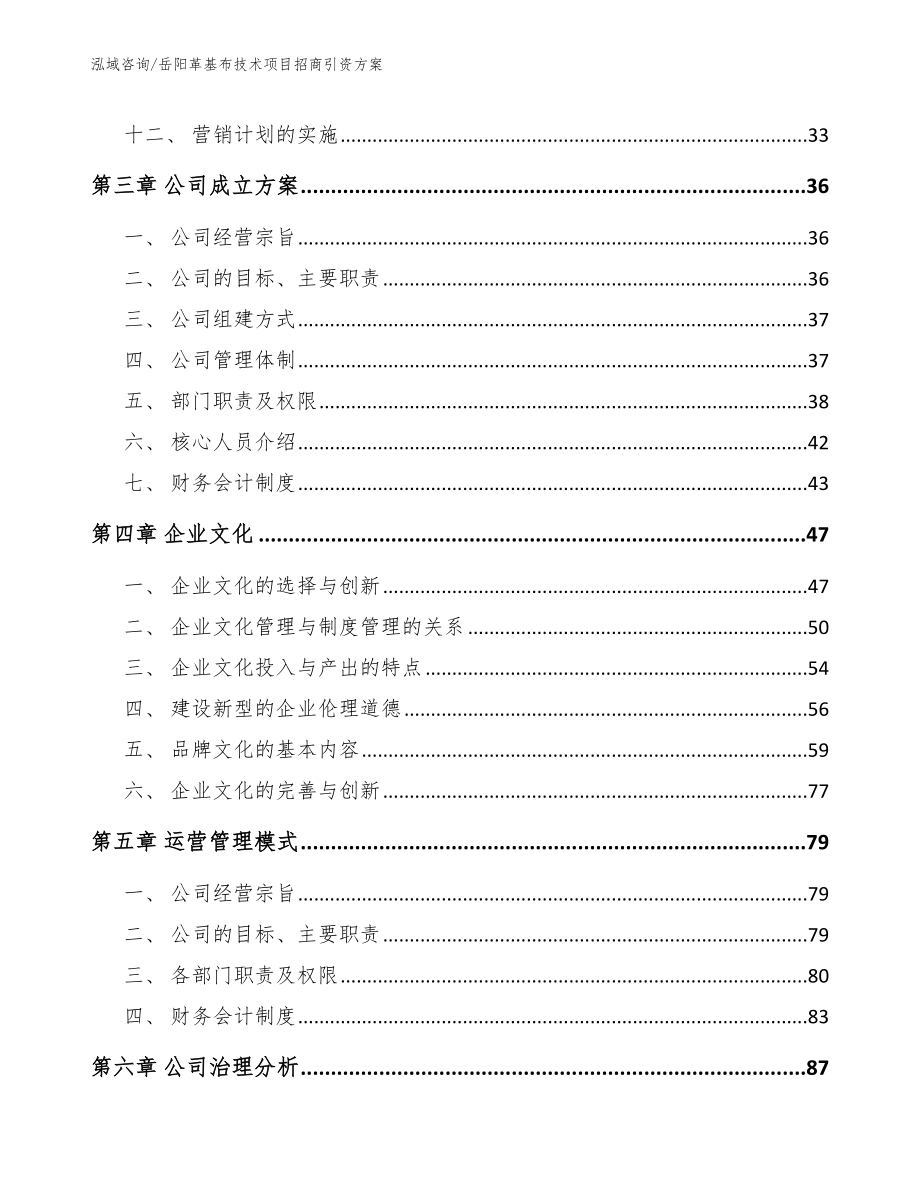 岳阳革基布技术项目招商引资方案（模板范文）_第3页