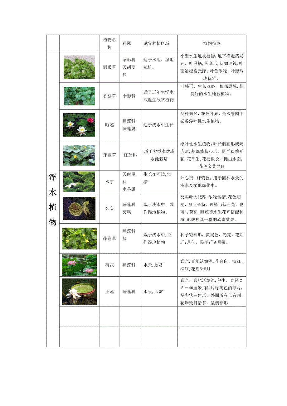 重庆市常见园林植物与花卉列表_第2页