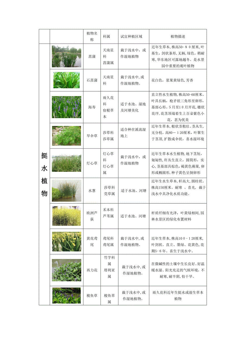 重庆市常见园林植物与花卉列表_第3页