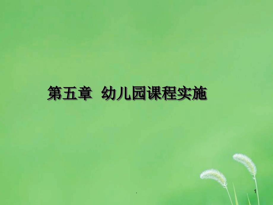 幼儿园课程的实施PPT精选文档_第1页