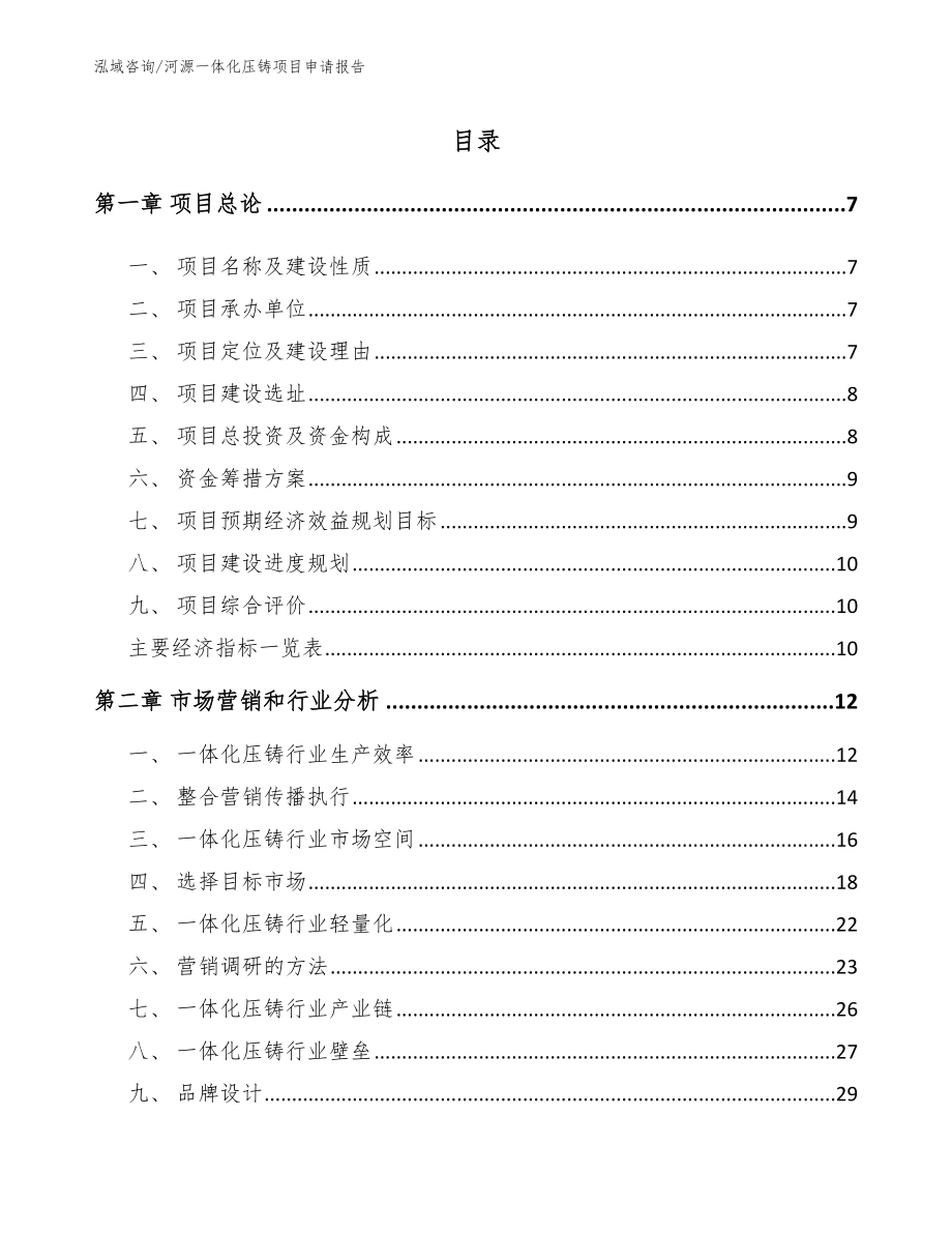 河源一体化压铸项目申请报告_第1页