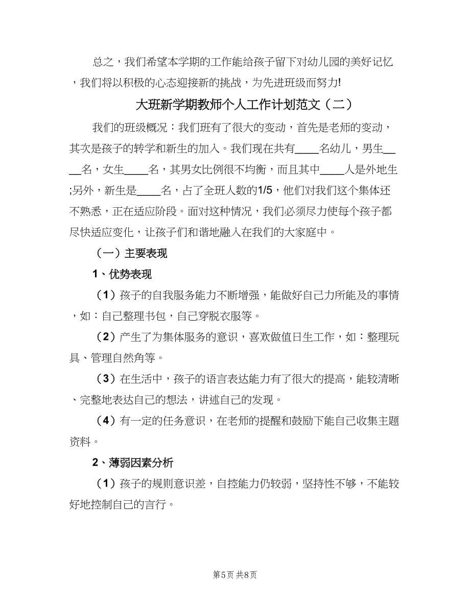 大班新学期教师个人工作计划范文（2篇）.doc_第5页