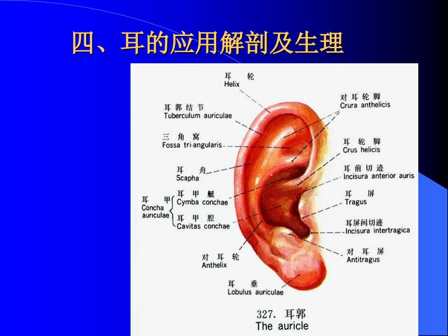 中耳炎及并发症PPT课件_第2页