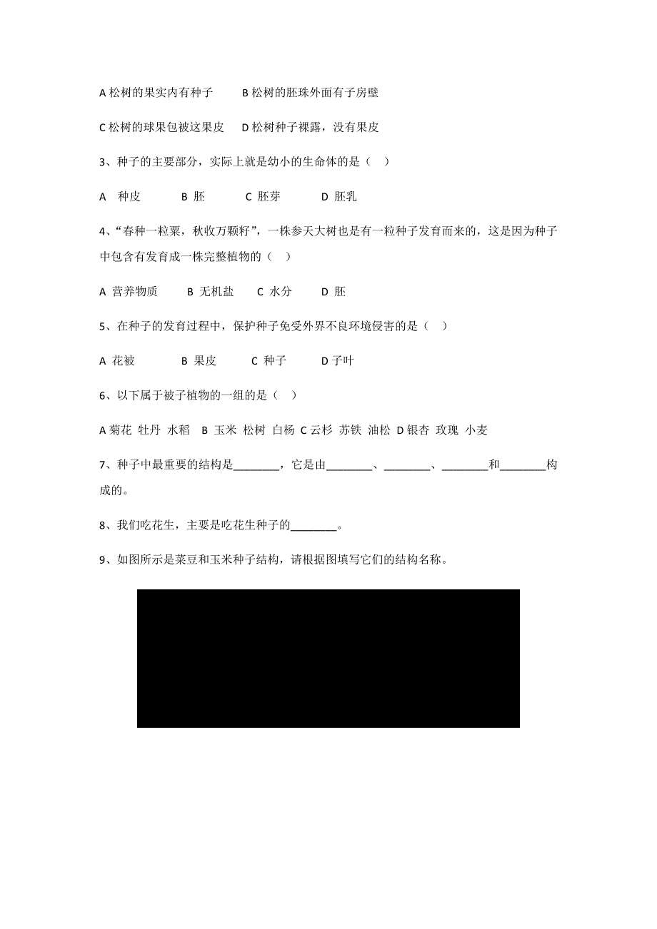 种子植物学案_第3页