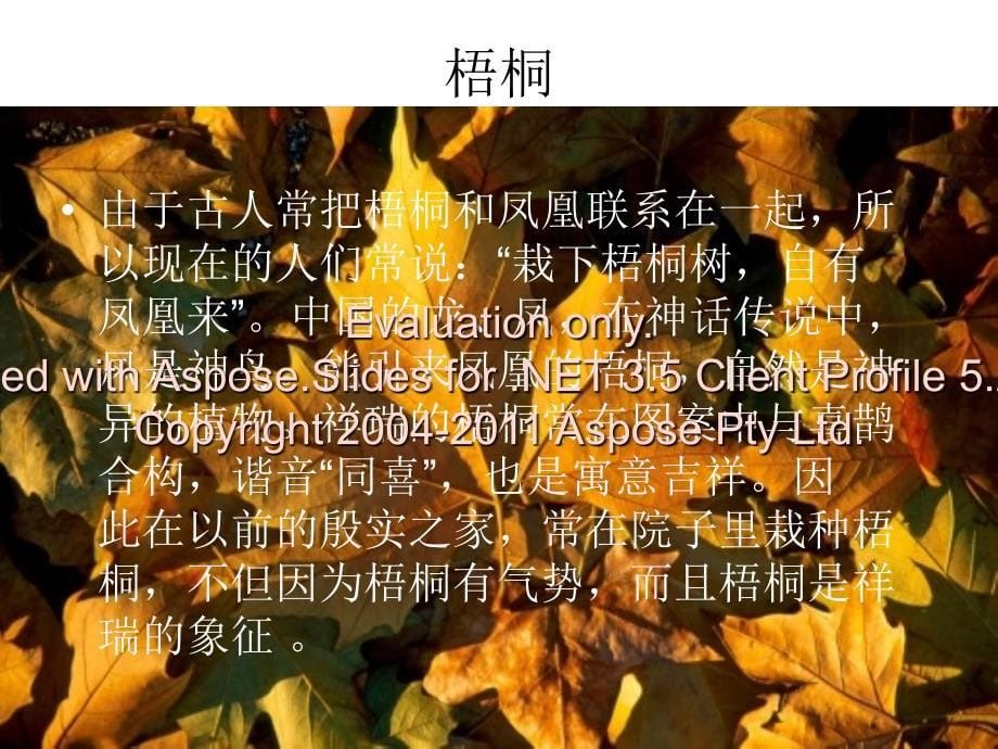 汉德植物词汇的吉祥语义.ppt_第5页