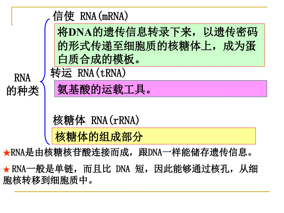 生物：4.1基因指导蛋白质的合成ppt(新人教版必修2)_第2页