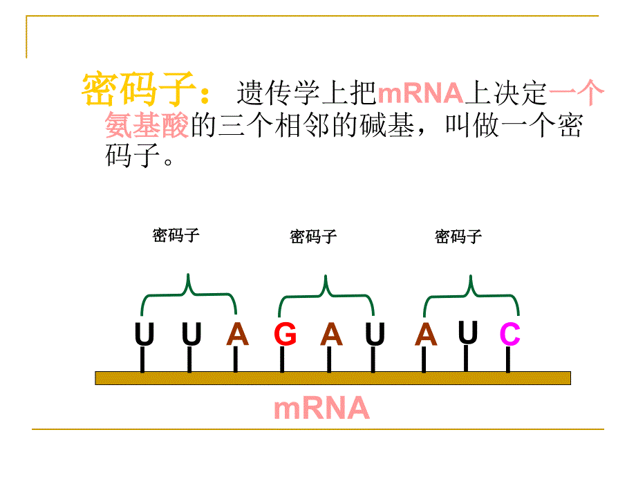 生物：4.1基因指导蛋白质的合成ppt(新人教版必修2)_第4页