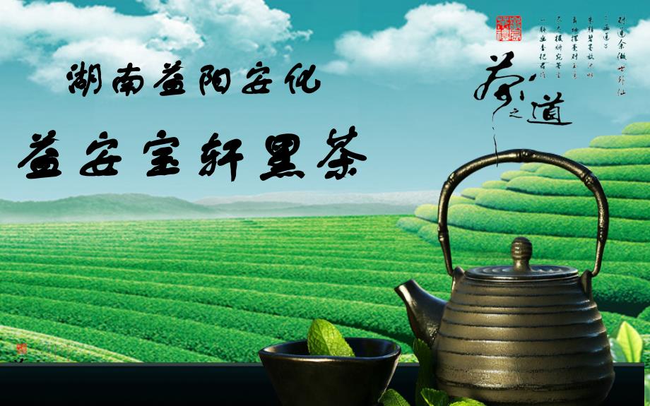 益阳安化黑茶资料_第1页