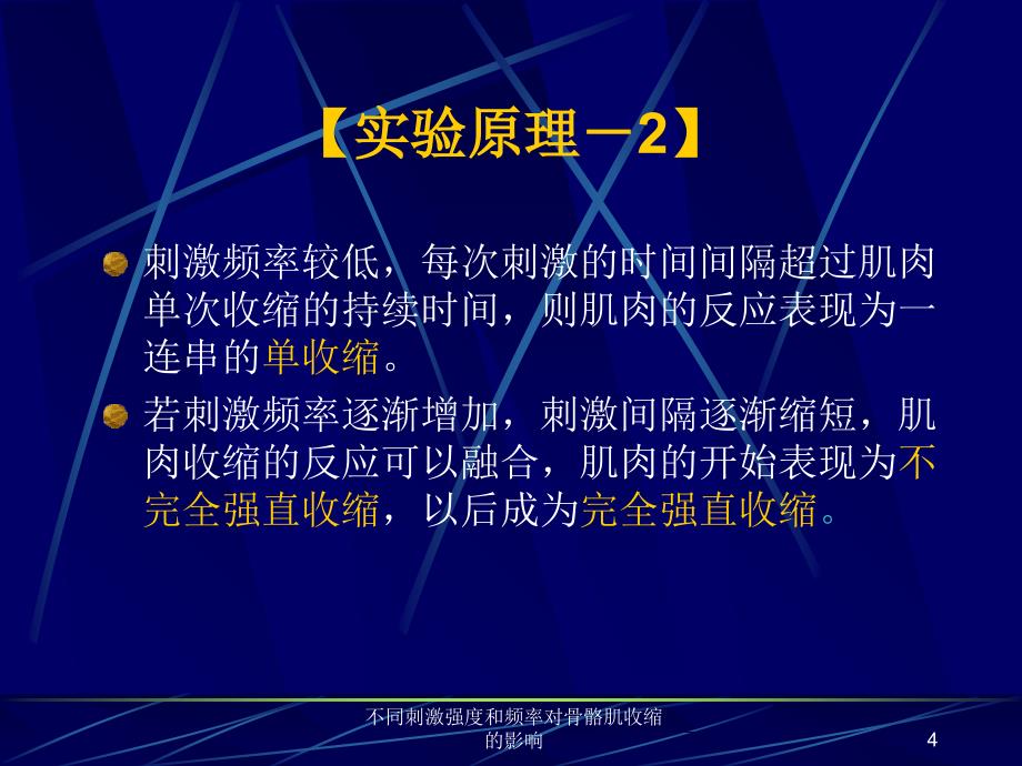 不同刺激强度和频率对骨骼肌收缩的影响课件_第4页