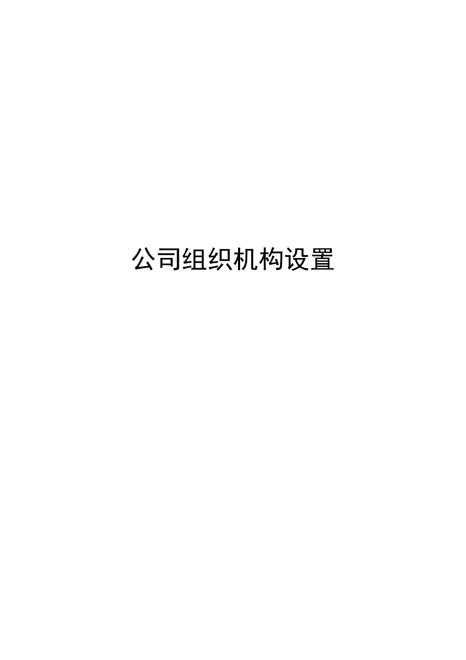 公司组织机构设置_第1页