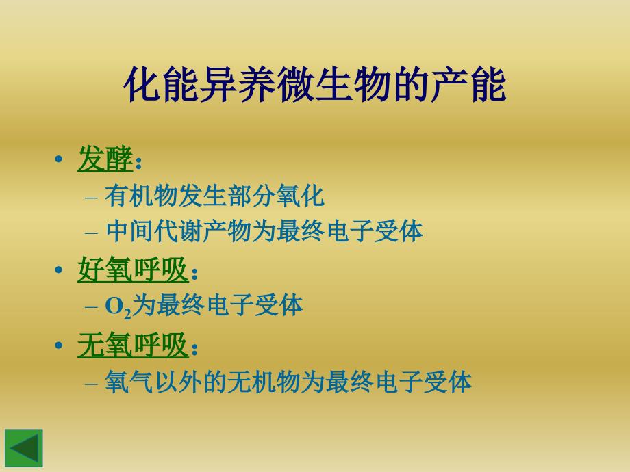 环境微生物学：chI3微生物生理特征5产能代谢_第3页