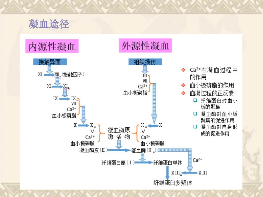 CFMS血栓弹力图骨科_第3页