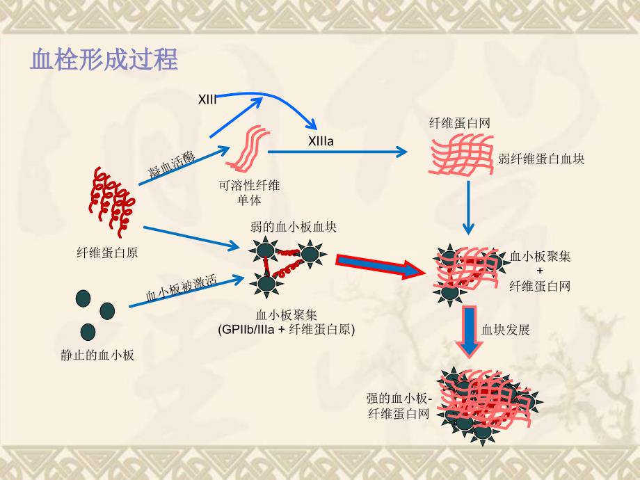 CFMS血栓弹力图骨科_第4页