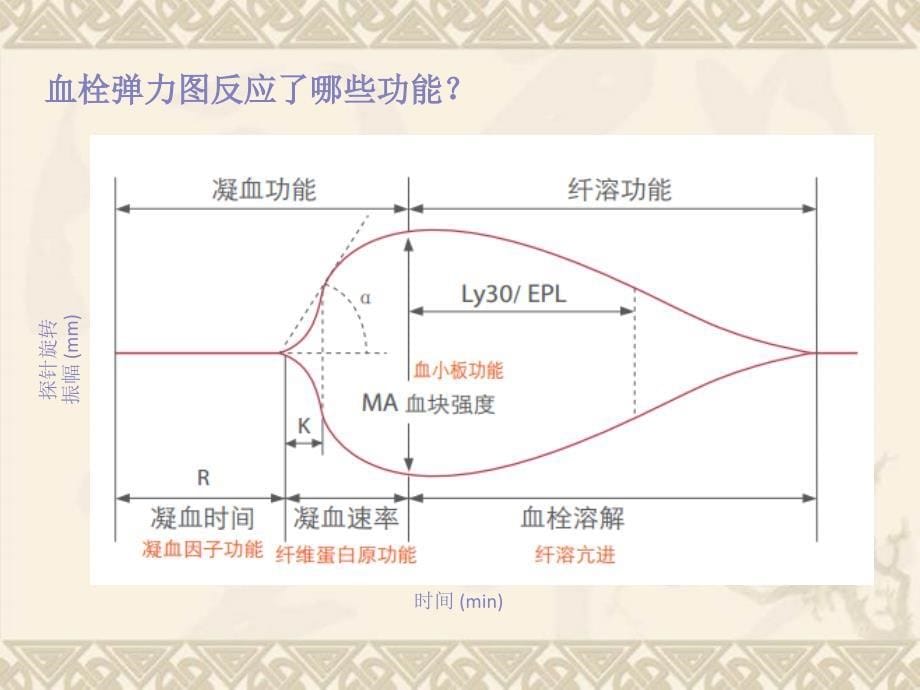 CFMS血栓弹力图骨科_第5页