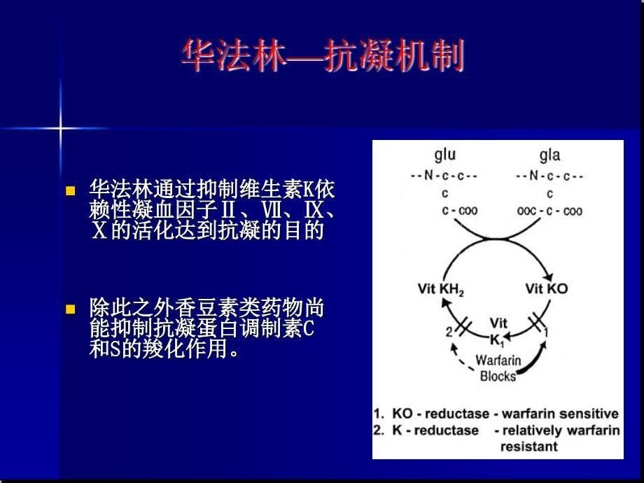 抗凝药及抗血小板_第5页