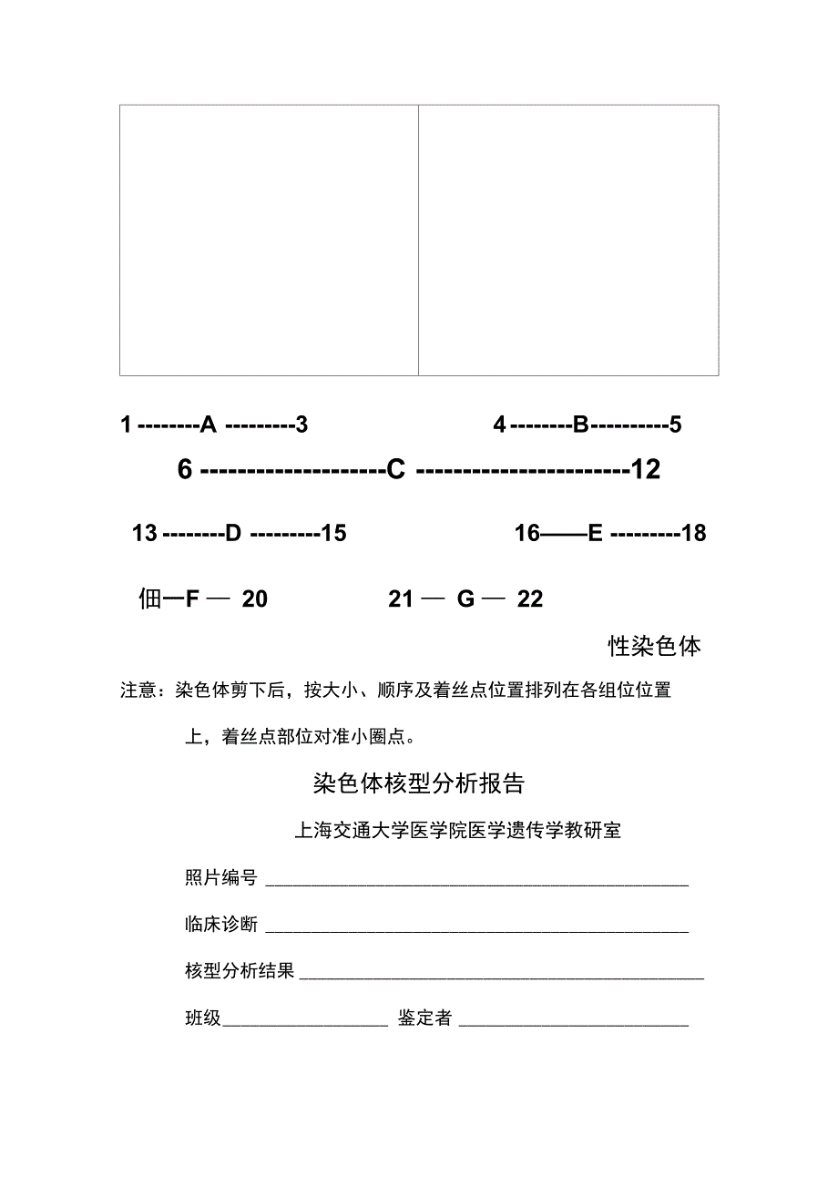 医学遗传学实验报告_第2页