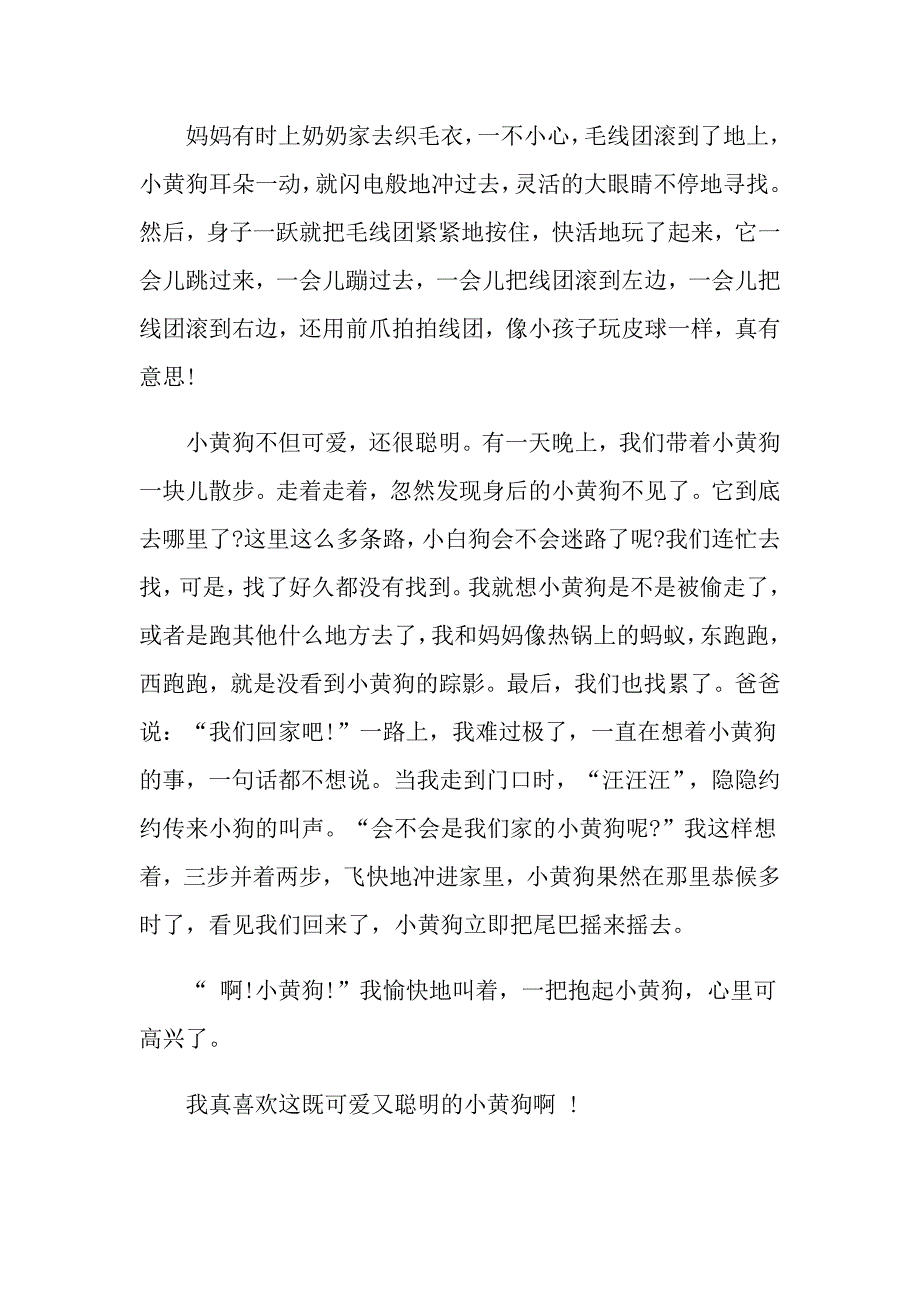 狗动物说明文800字作文_第2页