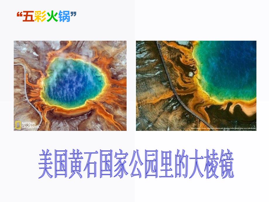 微生物无处不在_第4页