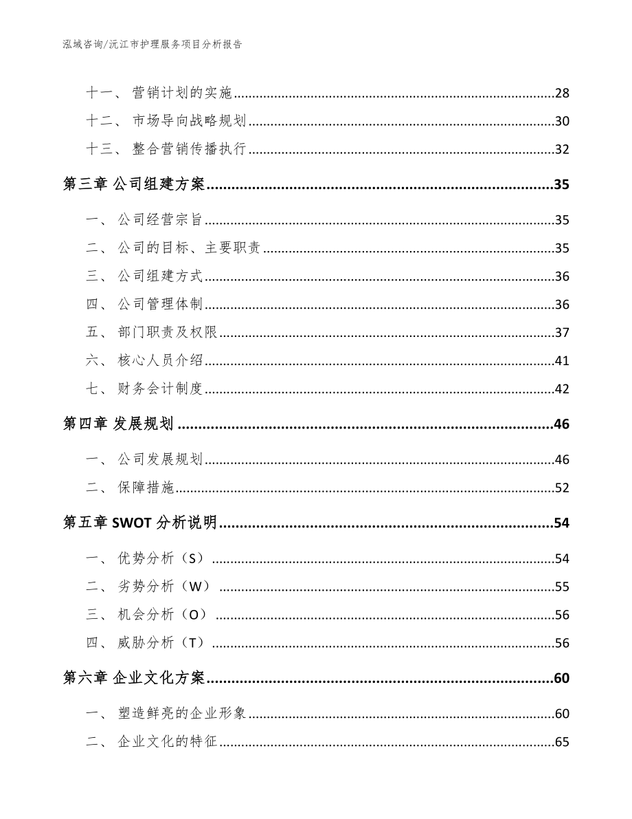 沅江市护理服务项目分析报告（模板范文）_第2页