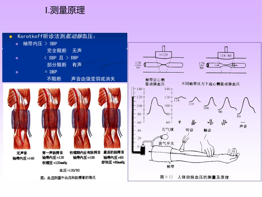 人体心电血压和肺功能测定课件_第3页