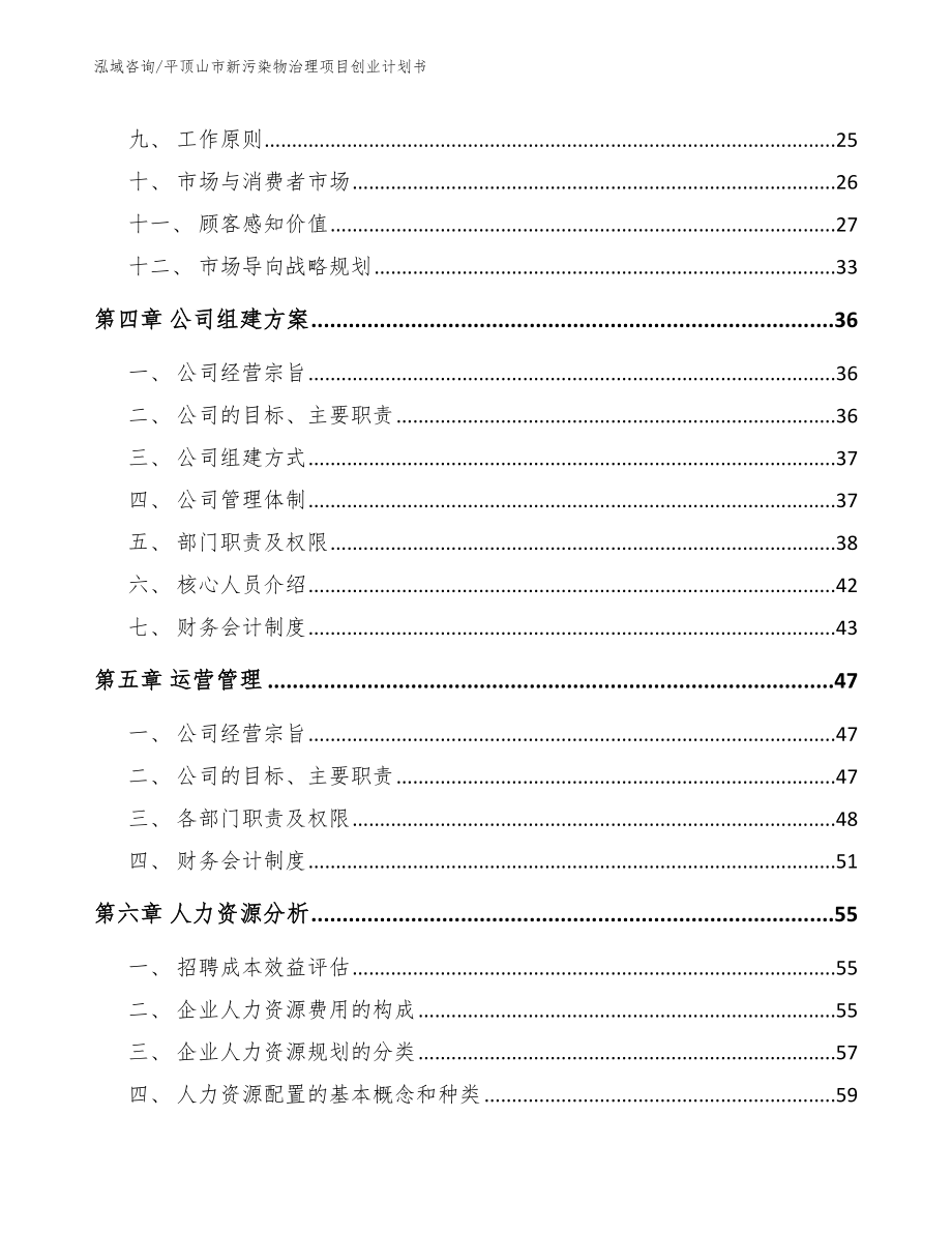 平顶山市新污染物治理项目创业计划书模板参考_第2页