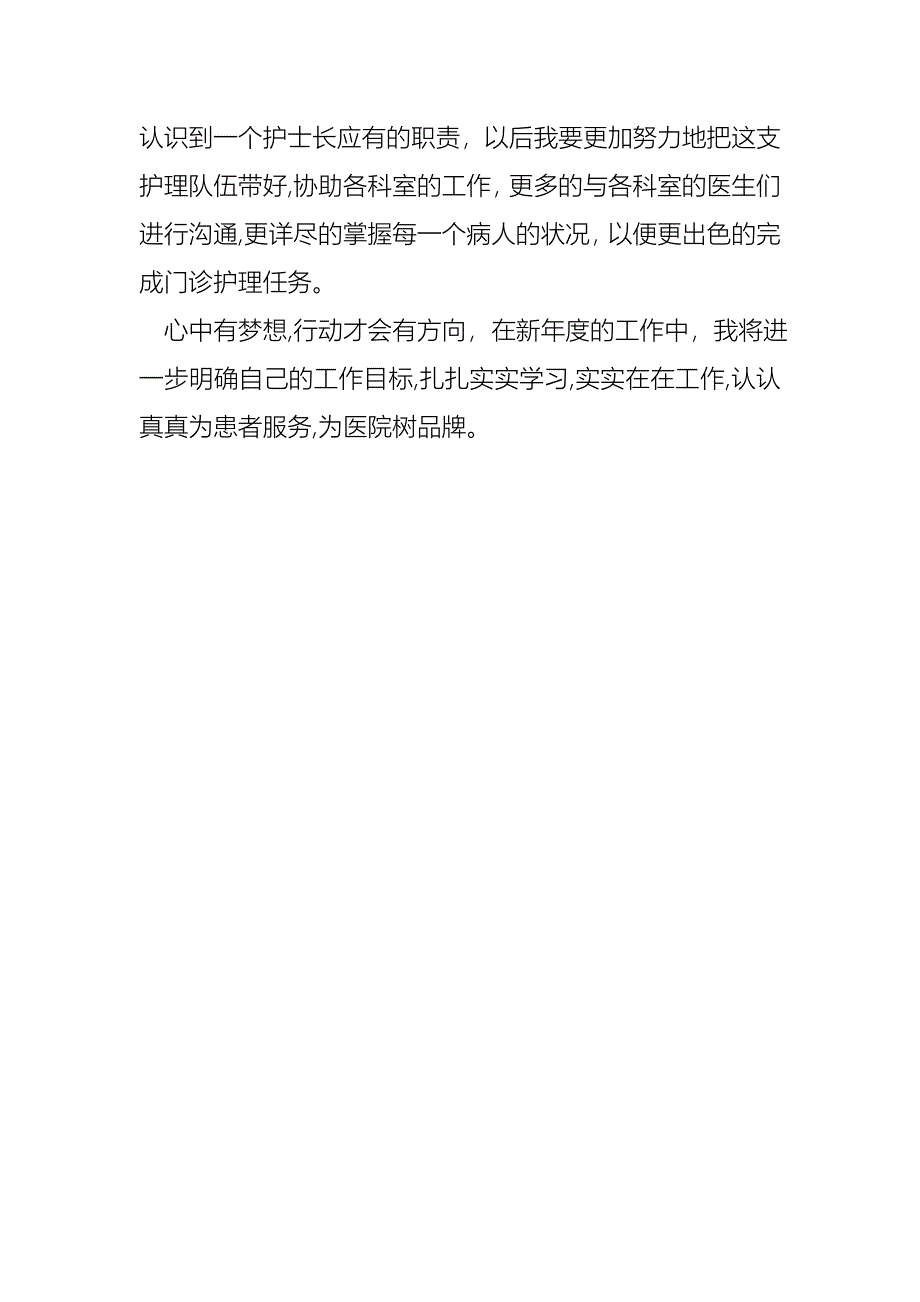 新晋护士述职报告_第5页