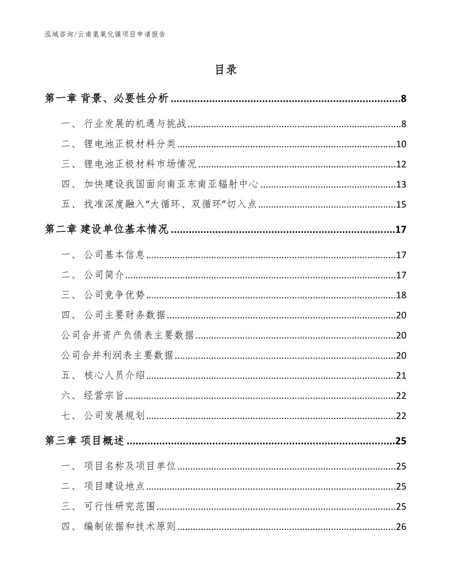 云南氢氧化镍项目申请报告_参考模板_第1页