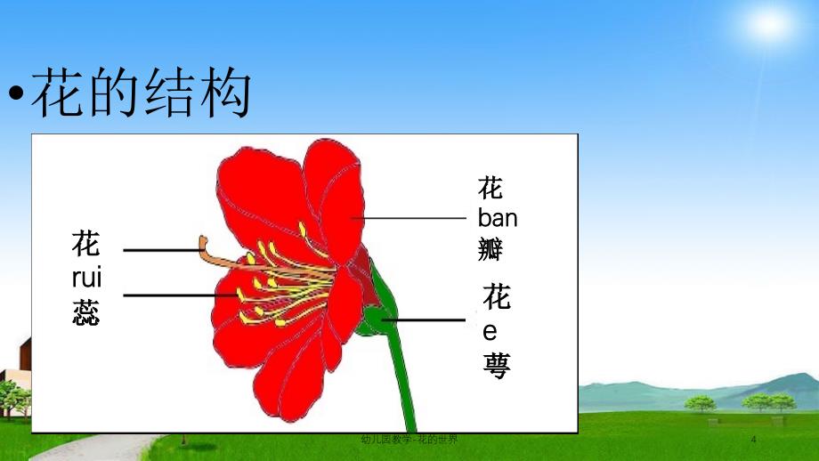 幼儿园教学花的世界课件_第4页