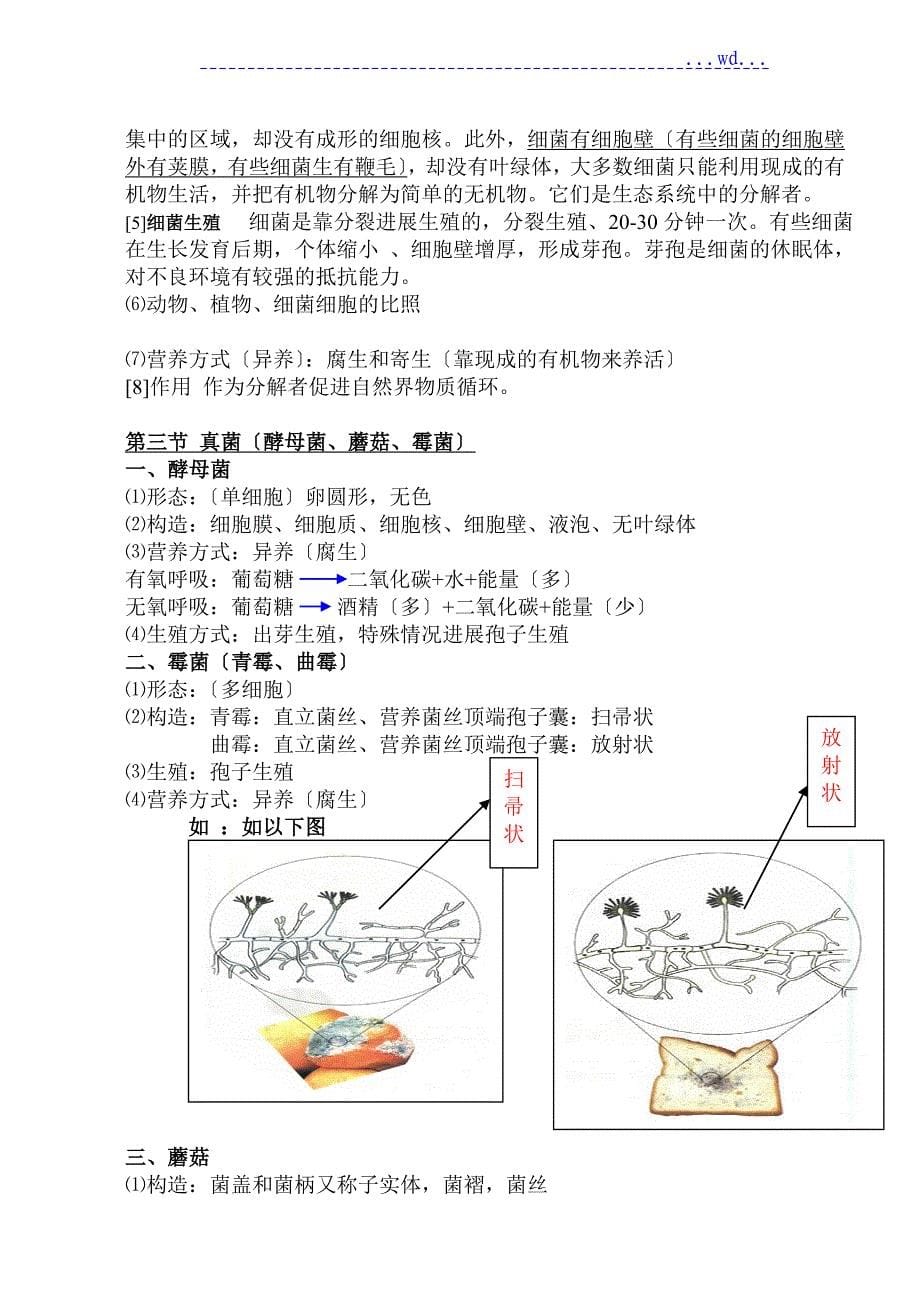 人版八年级（上册）生物知识点总结汇总_第5页