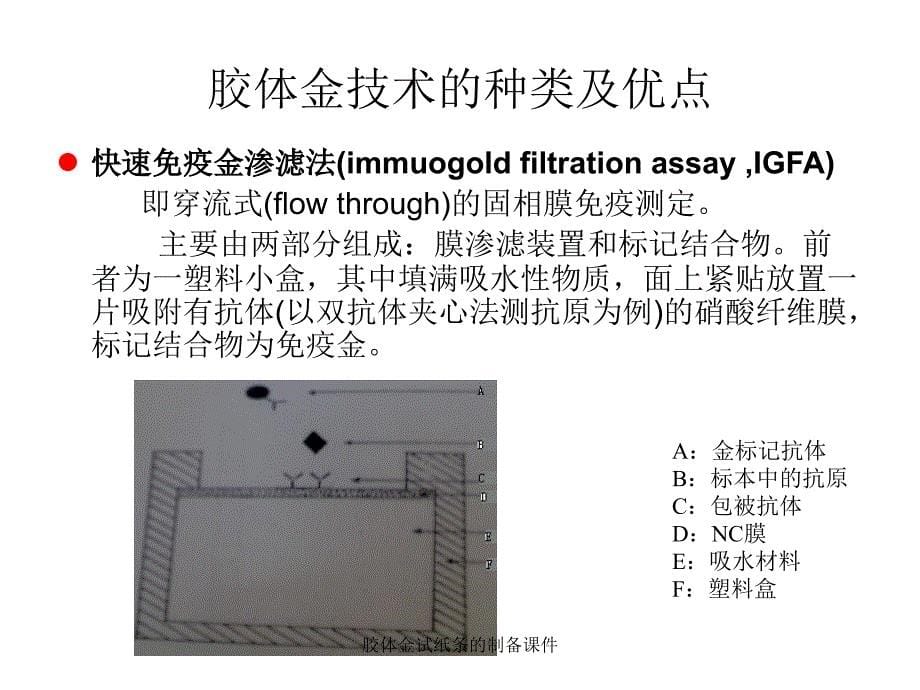 胶体金试纸条的制备课件_第5页