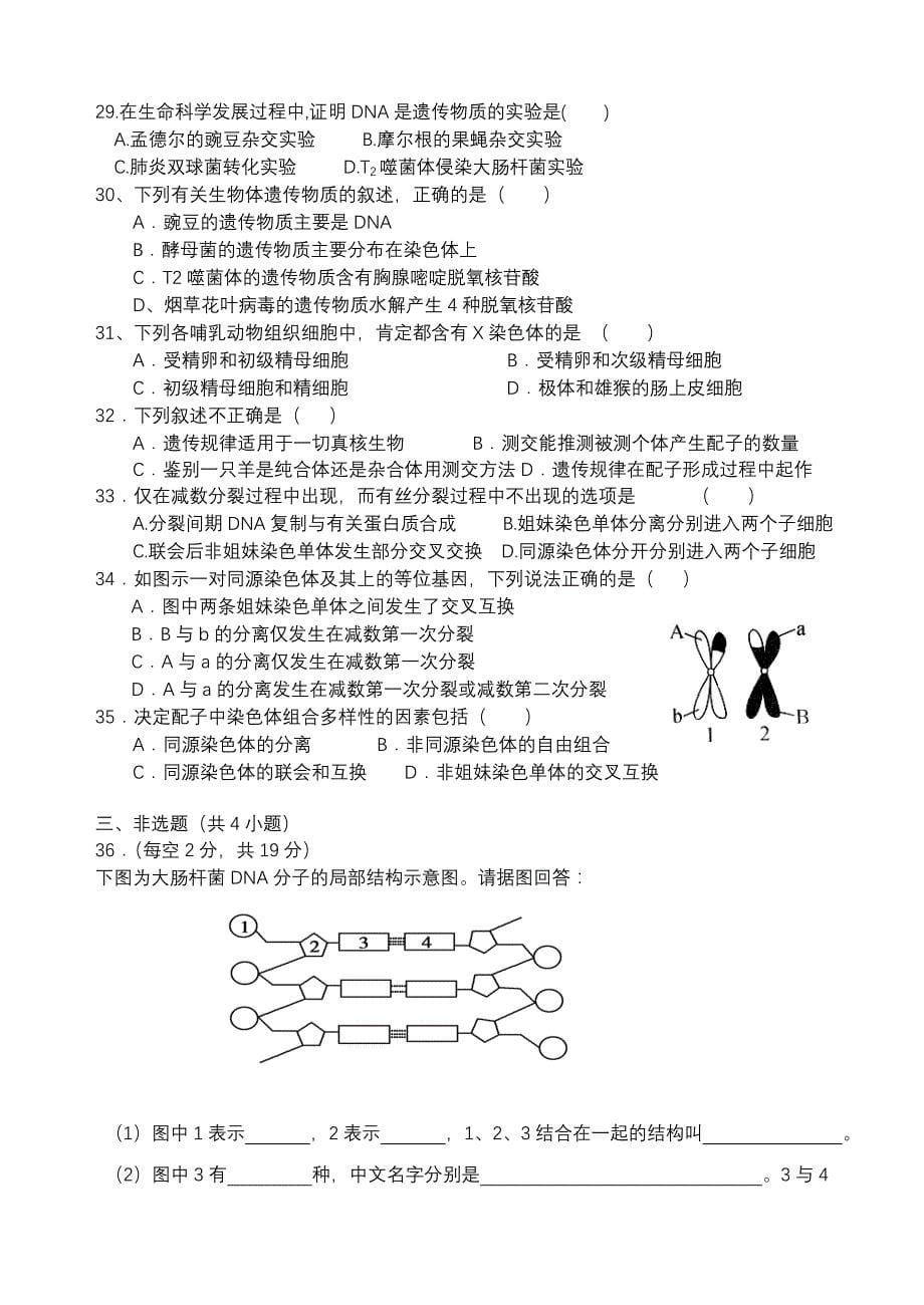 生物必修二期中考试(共9页)_第5页