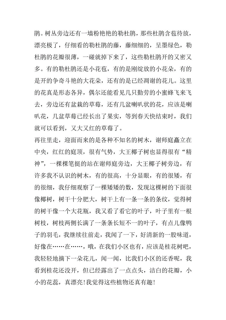 2023年年600字初一写景作文_第3页