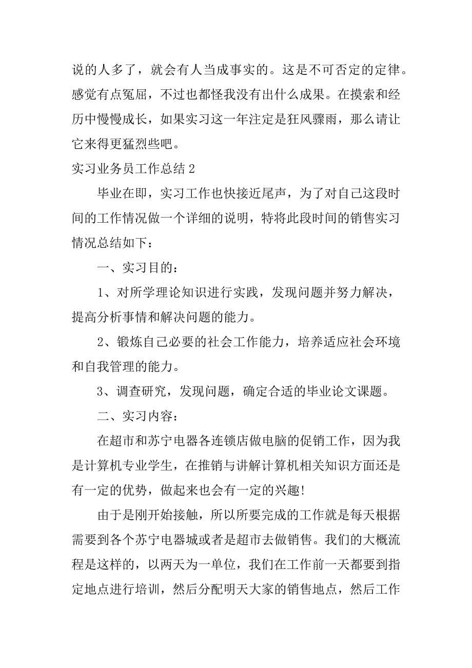 实习业务员工作总结7篇(业务员日常总结)_第5页