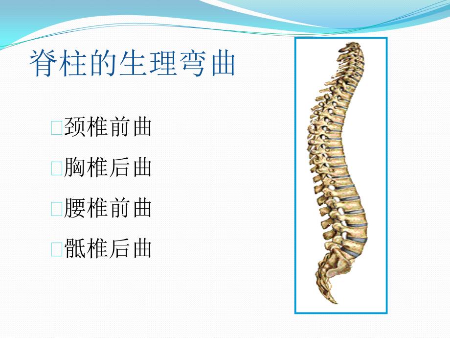 下腰痛的鉴别诊断_第4页